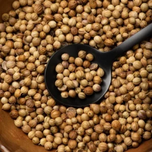 coriander-seeds-dhaniya-reesha-general-trading-wholesale-supplier-dubai