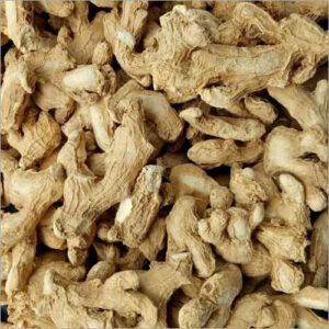 dried-ginger-reesha-general-trading-wholesale-supplier-dubai